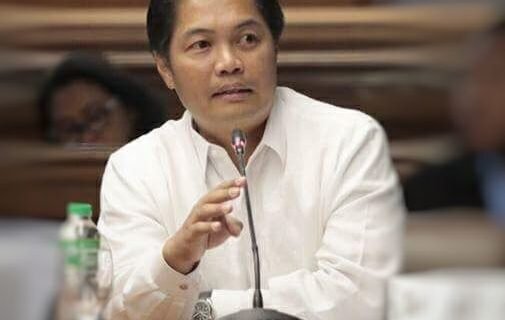 Invest Negros Occidental - Albee Benitez Economic Affairs Consultant