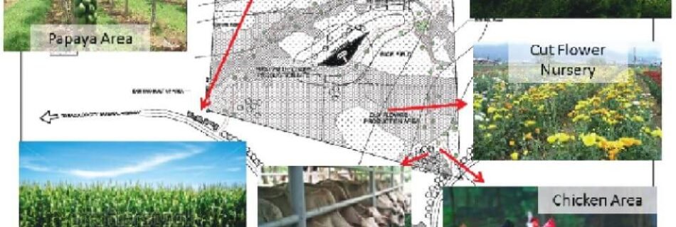 A Day with Nature at Prosperidad Agri Center - San Carlos City