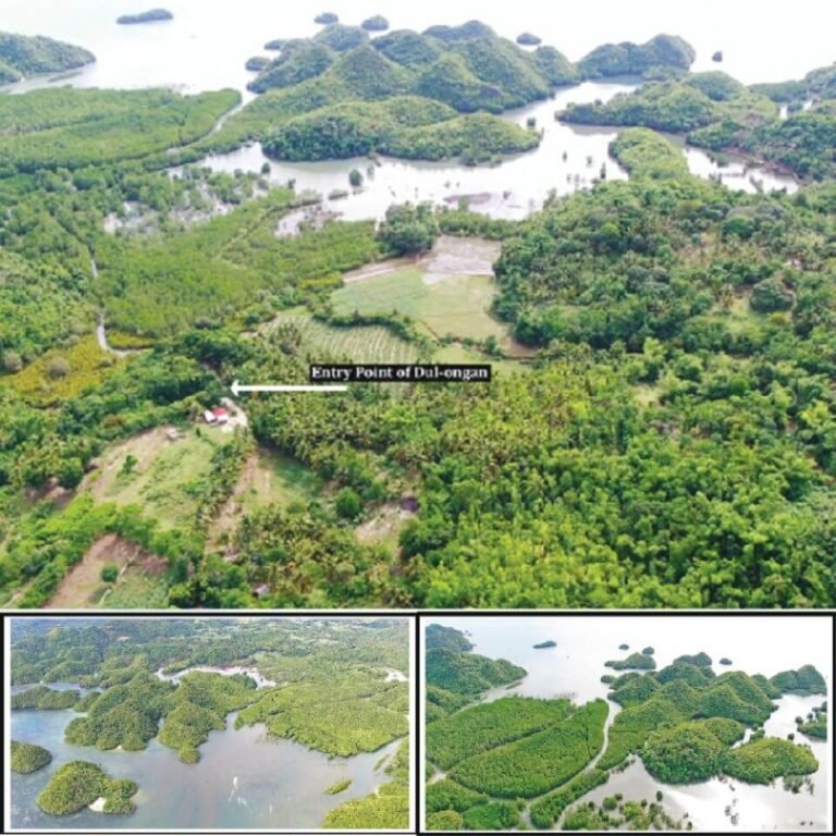 Dul-ongan Mangrove Ecotourism Park Development