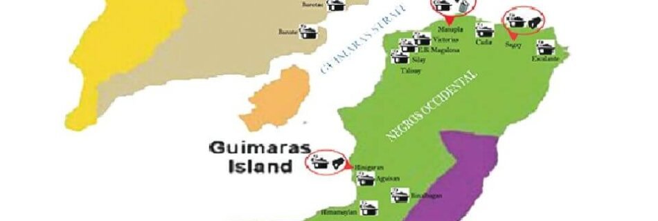 Negros Blue Swimming Crab