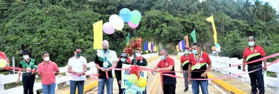 P39M HIMOGA-AN BRIDGE TURNED OVER IN TOBOSO