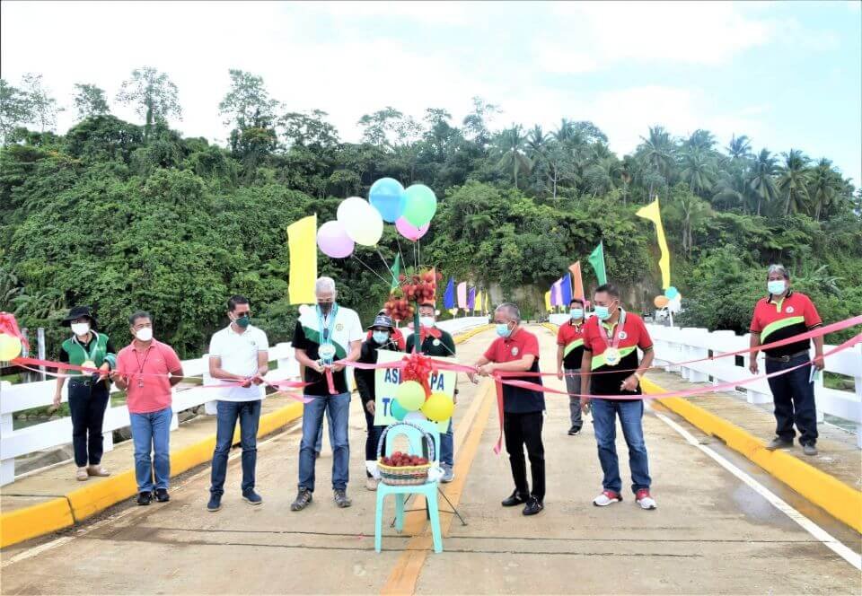 P39M HIMOGA-AN BRIDGE TURNED OVER IN TOBOSO