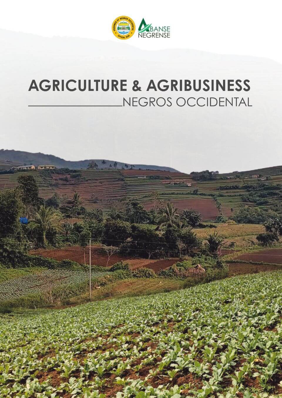 Agriculture in Negros