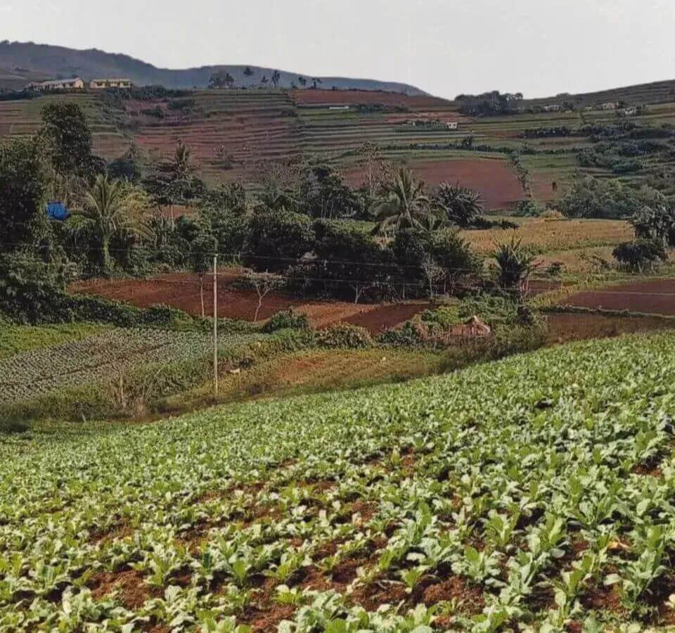 Negros Occidental Tourism in Brief