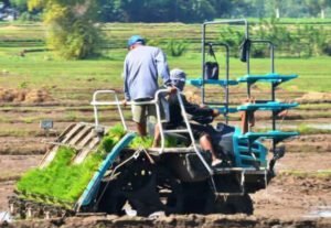 Agri and Manufacturing Industry