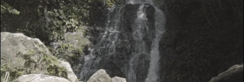 Pacol Falls Resort Development