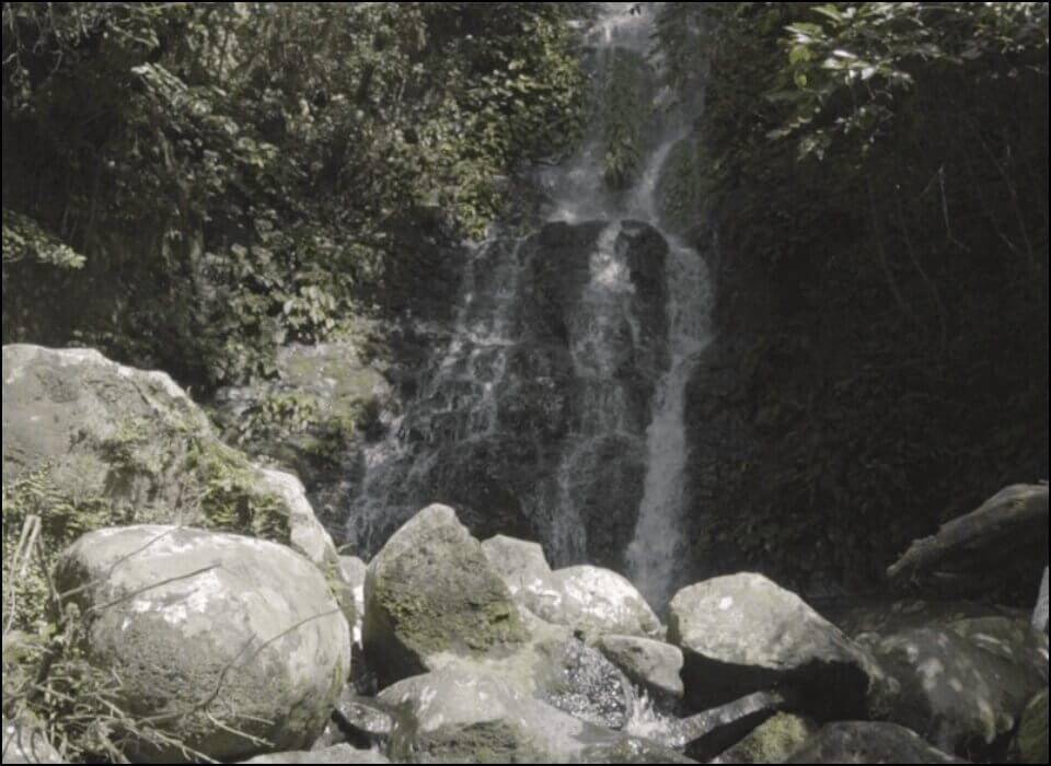Pacol Falls Resort Development